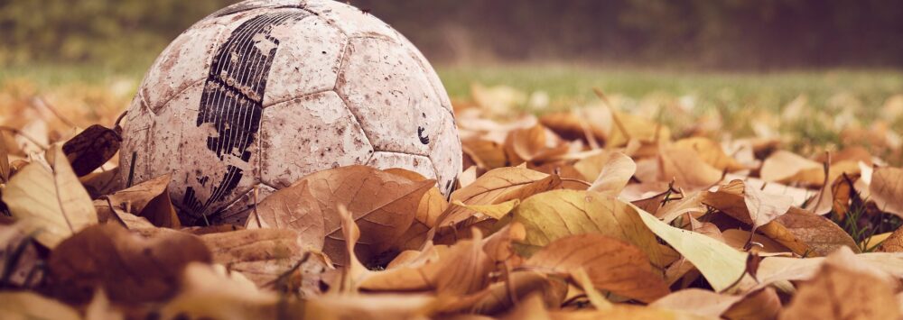 Warendorfer Sportunion e.V. – Ihr Sportverein in Warendorf